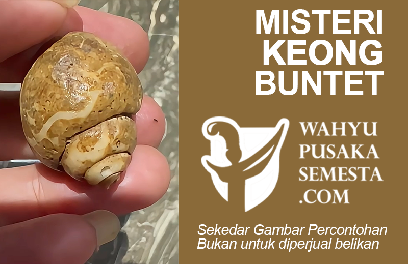 MISTERI KEONG BUNTET