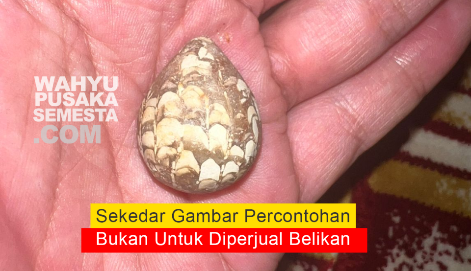 Wahyu Pusaka Semesta - Mustika Kelapa